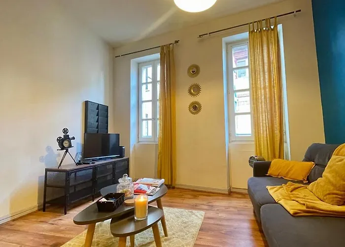 L'industriel - Cathedrale Notre-dame - Netflix Apartment Montauban